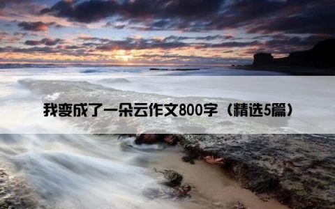 我变成了一朵云作文800字（精选5篇）