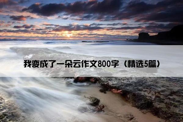 我变成了一朵云作文800字（精选5篇）