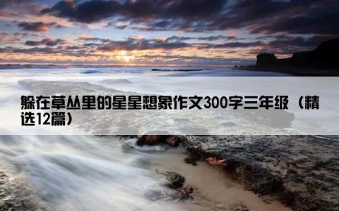 躲在草丛里的星星想象作文300字三年级（精选12篇）