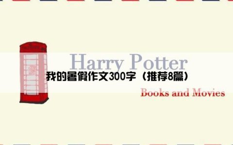 我的暑假作文300字（推荐8篇）