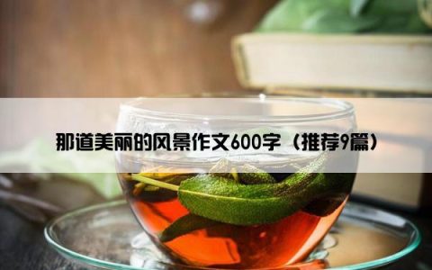 那道美丽的风景作文600字（推荐9篇）