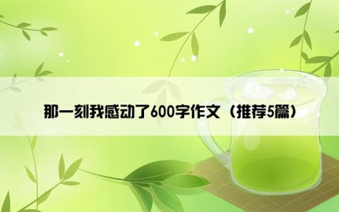 那一刻我感动了600字作文（推荐5篇）
