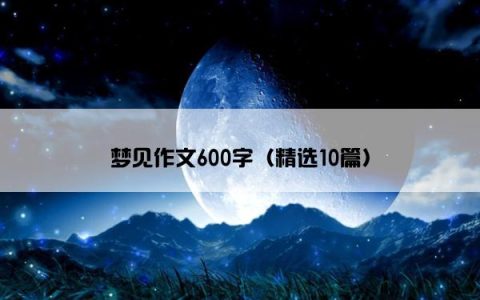 梦见作文600字（精选10篇）