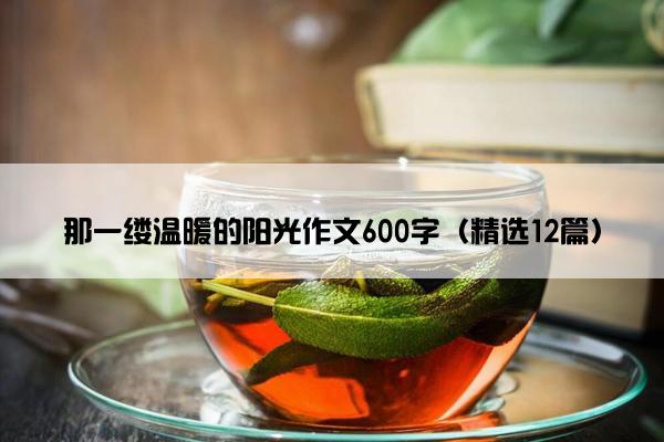 那一缕温暖的阳光作文600字（精选12篇）