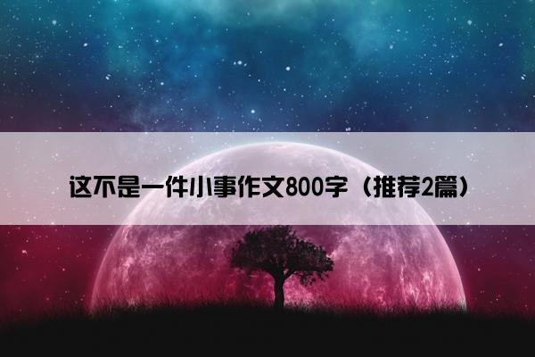 这不是一件小事作文800字（推荐2篇）