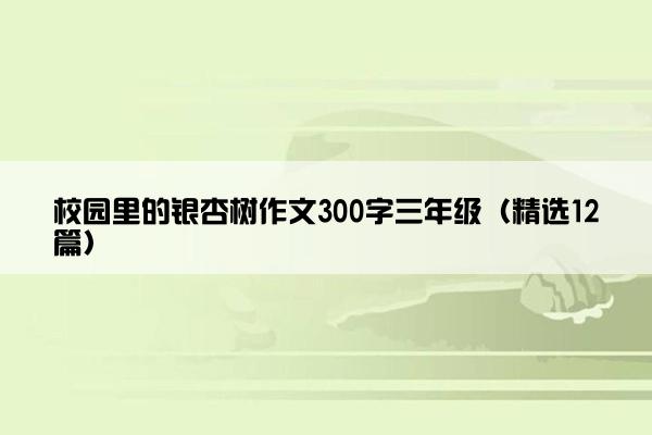 校园里的银杏树作文300字三年级（精选12篇）