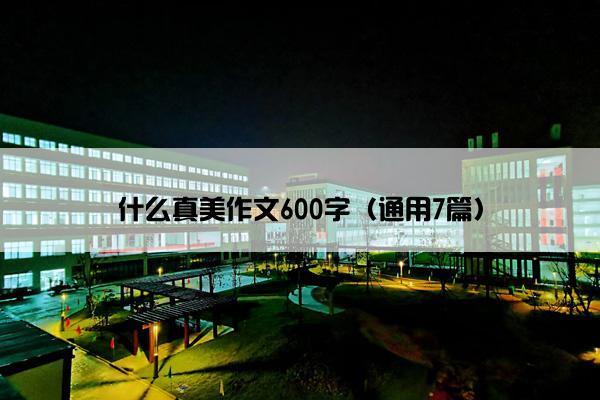 什么真美作文600字（通用7篇）