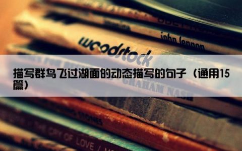 描写群鸟飞过湖面的动态描写的句子（通用15篇）