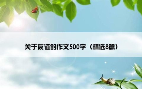 关于友谊的作文500字（精选8篇）