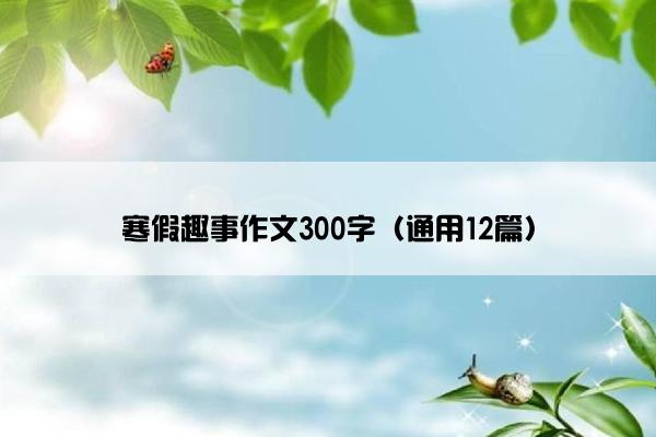 寒假趣事作文300字（通用12篇）