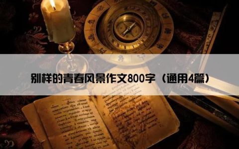 别样的青春风景作文800字（通用4篇）