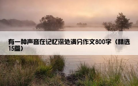 有一种声音在记忆深处满分作文800字（精选15篇）