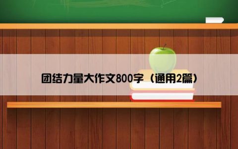 团结力量大作文800字（通用2篇）