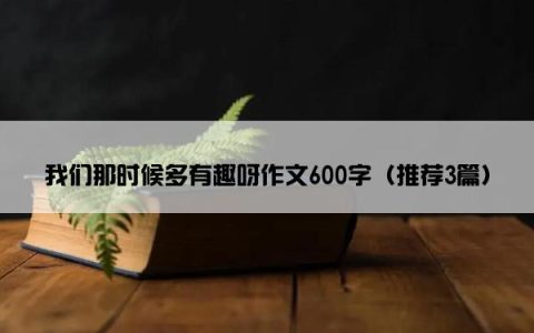 我们那时候多有趣呀作文600字（推荐3篇）