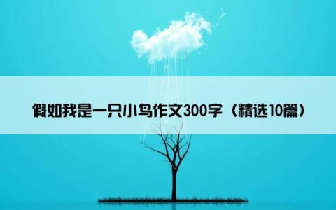 假如我是一只小鸟作文300字（精选10篇）