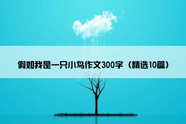 假如我是一只小鸟作文300字（精选10篇）