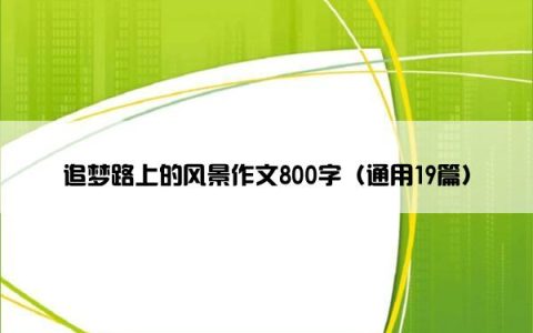 追梦路上的风景作文800字（通用19篇）