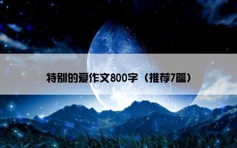 特别的爱作文800字（推荐7篇）