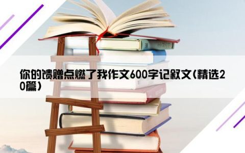 你的馈赠点燃了我作文600字记叙文(精选20篇)