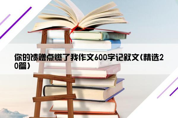 你的馈赠点燃了我作文600字记叙文(精选20篇)