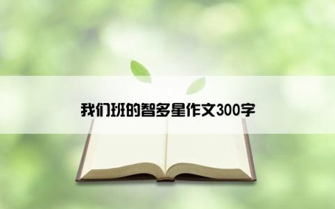 我们班的智多星作文300字