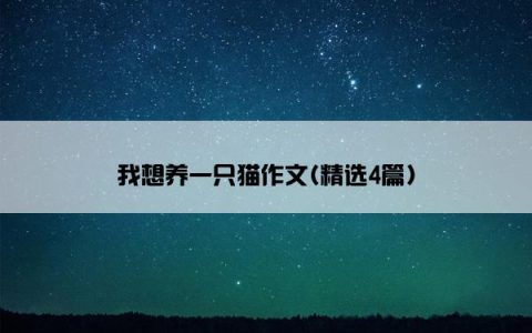我想养一只猫作文(精选4篇)