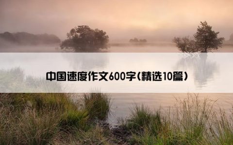中国速度作文600字(精选10篇)
