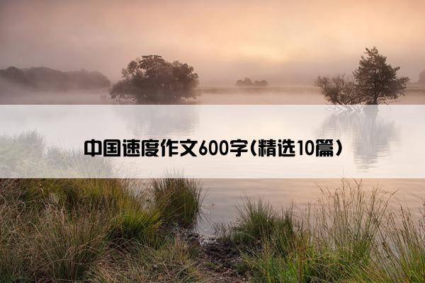 中国速度作文600字(精选10篇)