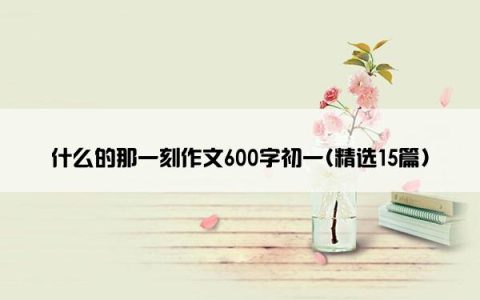 什么的那一刻作文600字初一(精选15篇)