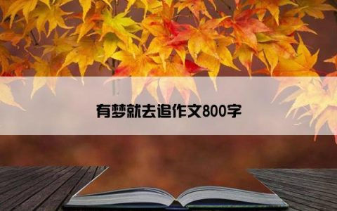 有梦就去追作文800字