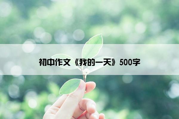 初中作文《我的一天》500字