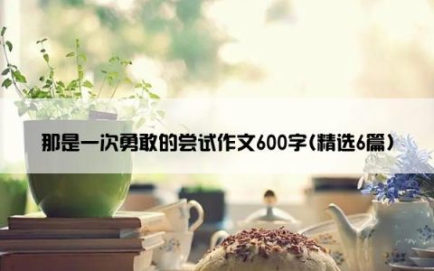那是一次勇敢的尝试作文600字(精选6篇)