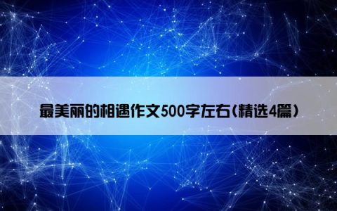 最美丽的相遇作文500字左右(精选4篇)