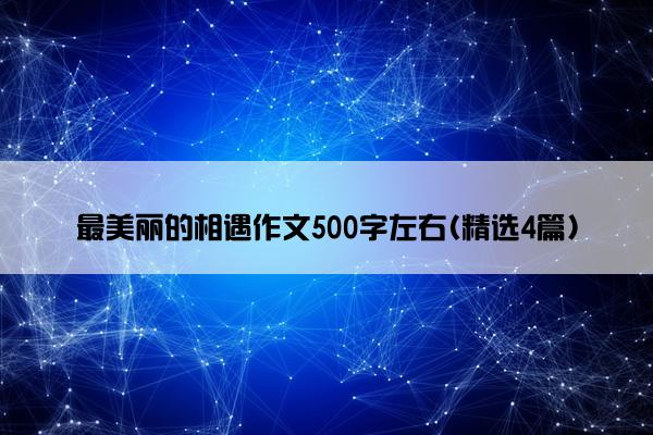 最美丽的相遇作文500字左右(精选4篇)