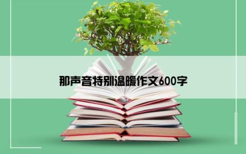那声音特别温暖作文600字