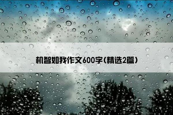 机智如我作文600字(精选2篇)