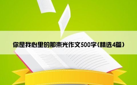 你是我心里的那束光作文500字(精选4篇)