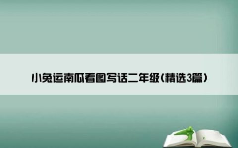 小兔运南瓜看图写话二年级(精选3篇)