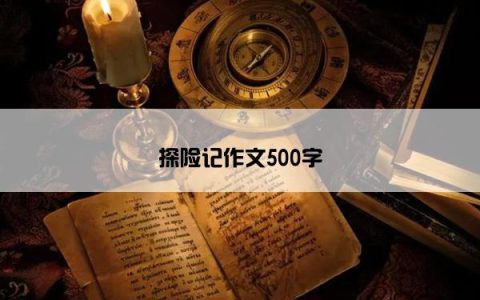 探险记作文500字