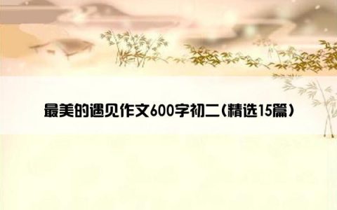 最美的遇见作文600字初二(精选15篇)