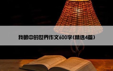 我眼中的世界作文600字(精选4篇)
