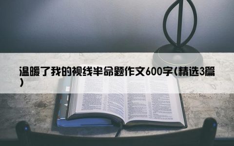 温暖了我的视线半命题作文600字(精选3篇)