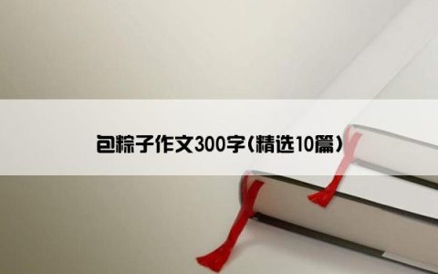 包粽子作文300字(精选10篇)