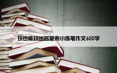 玩也能玩出名堂来小练笔作文600字