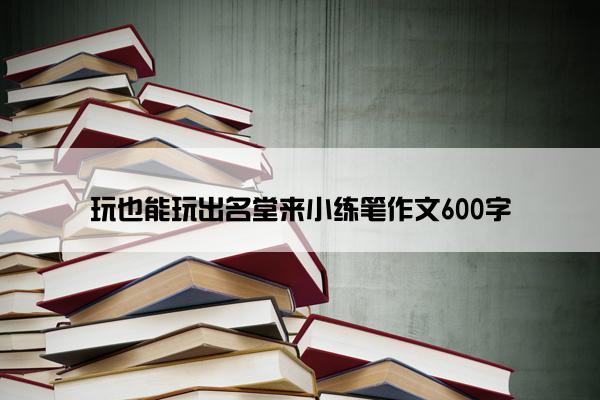 玩也能玩出名堂来小练笔作文600字