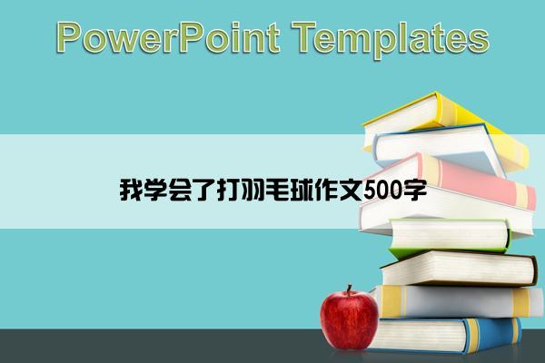 我学会了打羽毛球作文500字