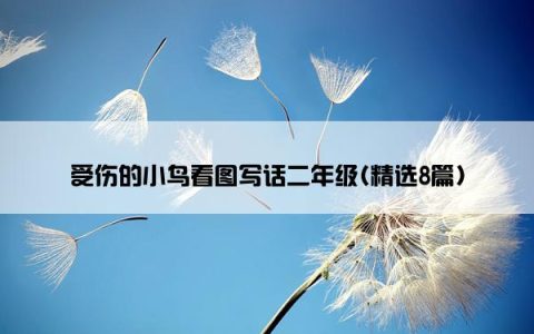 受伤的小鸟看图写话二年级(精选8篇)