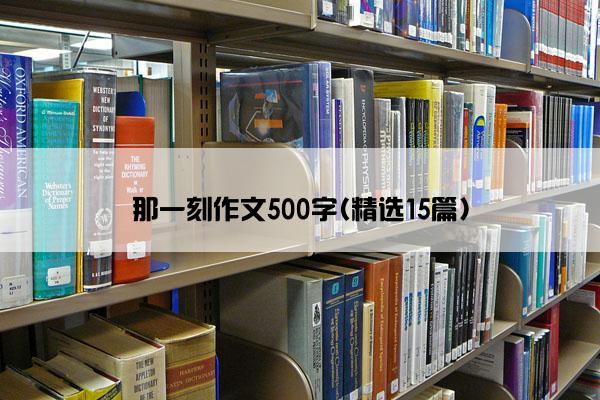 那一刻作文500字(精选15篇)