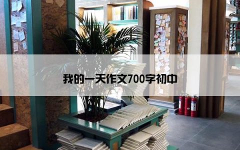 我的一天作文700字初中