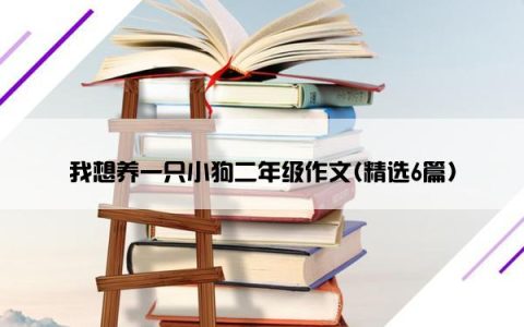 我想养一只小狗二年级作文(精选6篇)